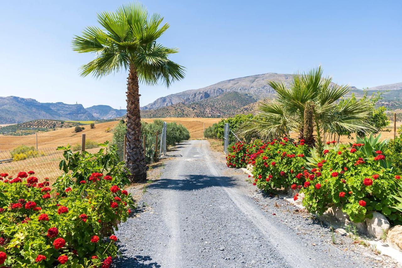 Alojamiento Rural La Era Del Quinto Bermejo Kültér fotó